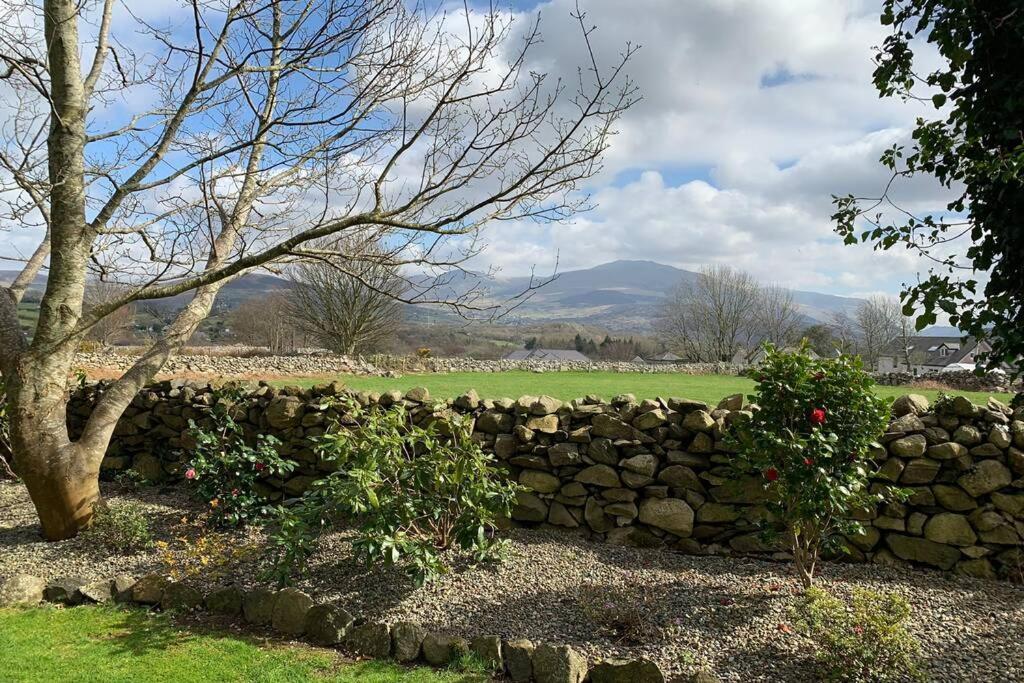 Snowdonia Cabin كارنارفون المظهر الخارجي الصورة