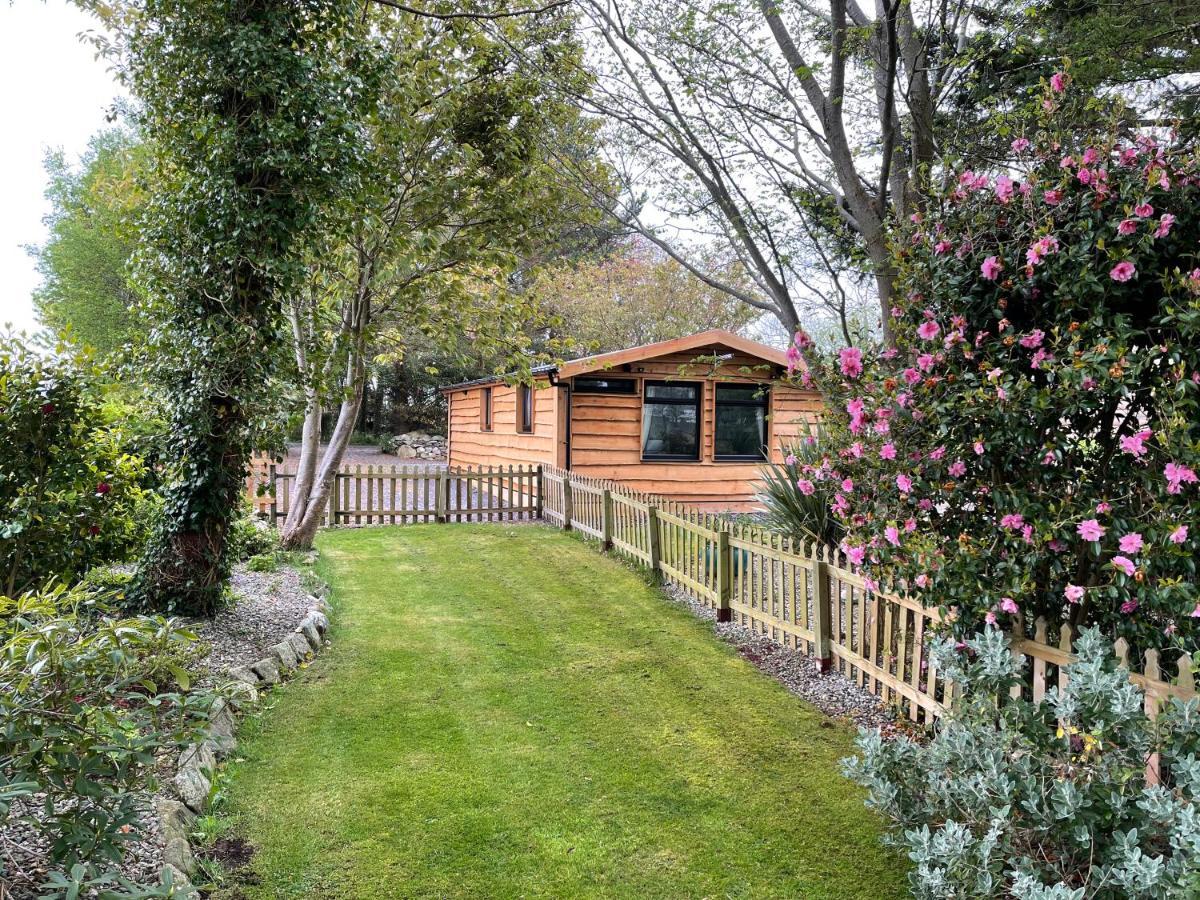 Snowdonia Cabin كارنارفون المظهر الخارجي الصورة