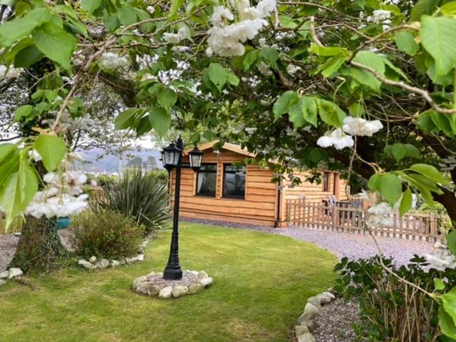 Snowdonia Cabin كارنارفون المظهر الخارجي الصورة